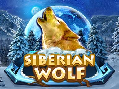 mgesiberianwolf_Horizontal.jpg