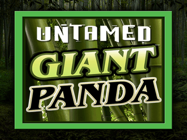 mgslotsuntamedgiantpanda_Horizontal.png