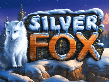 silverfox_Horizontal.png